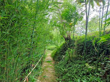 place photo 36
