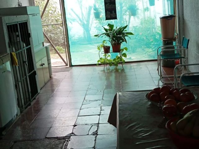 place photo 38