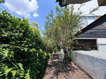 place photo 43