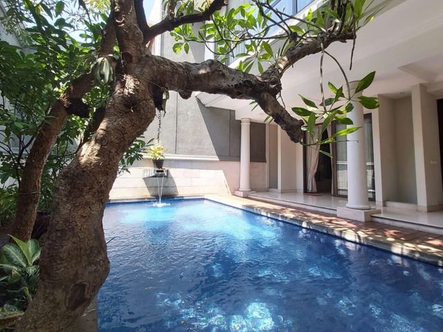 place photo 29