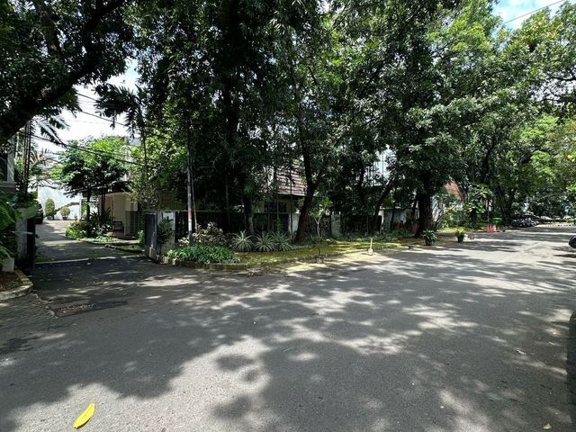 place photo 15