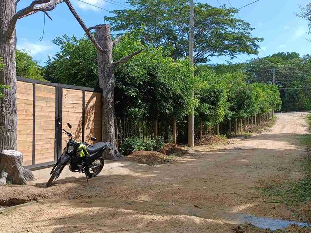 place photo 13