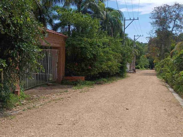 place photo 18