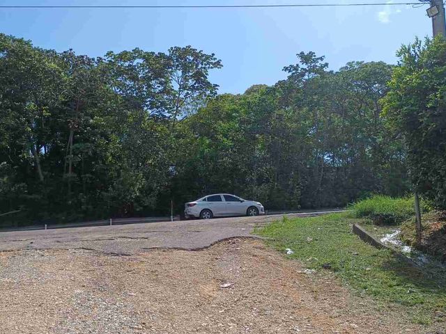 place photo 23