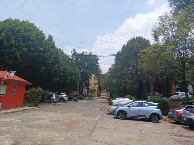 place photo 37