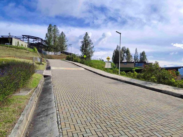 place photo 45