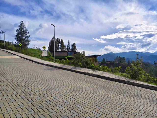 place photo 47