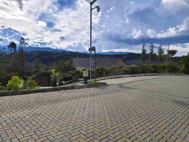 place photo 49