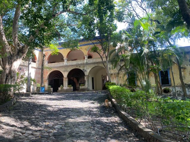 place photo 17