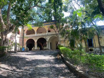 place photo 17