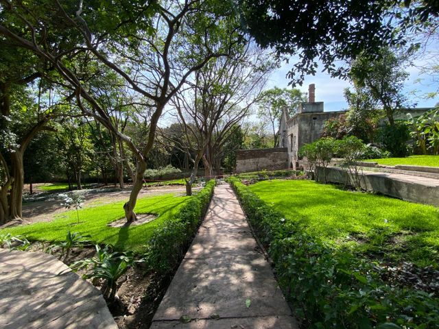 place photo 30