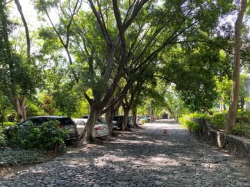 place photo 36