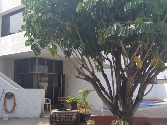 place photo 27
