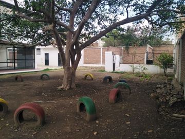 place photo 32
