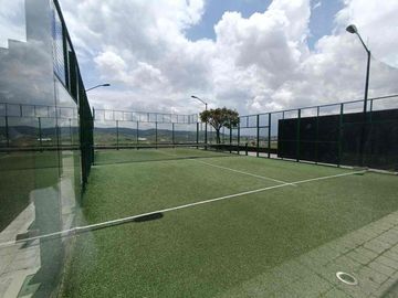 place photo 26