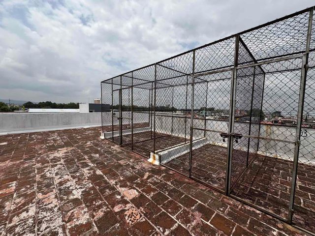 place photo 37