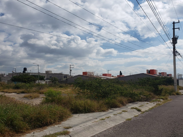 place photo 16