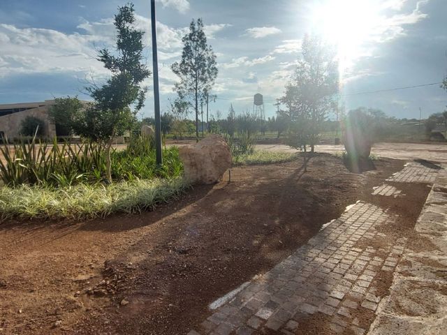 place photo 19