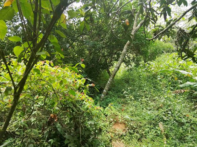 place photo 25