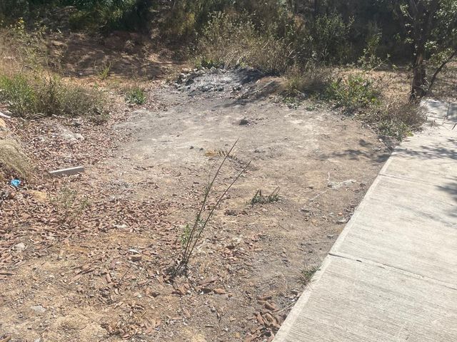 place photo 36