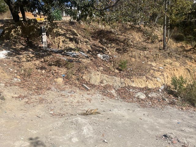 place photo 30