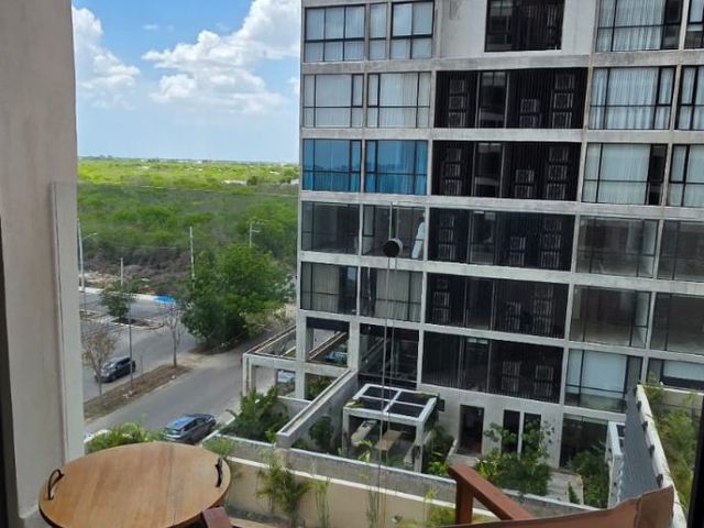 place photo 21