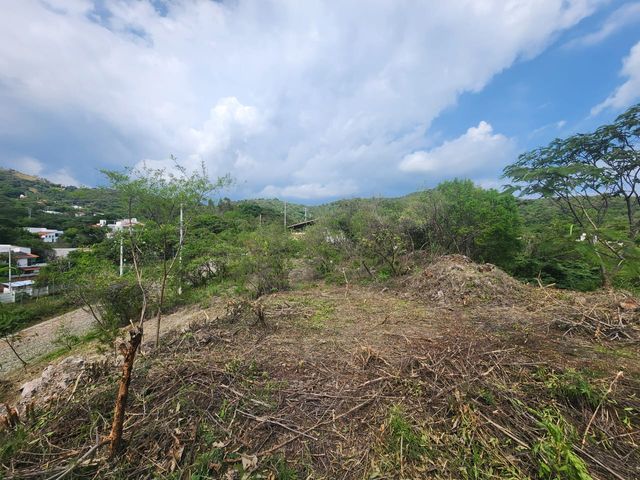 place photo 22