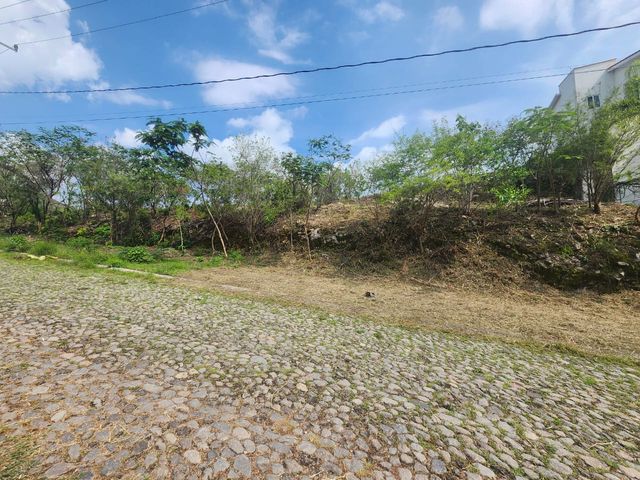 place photo 41