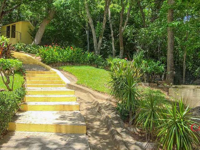 place photo 65