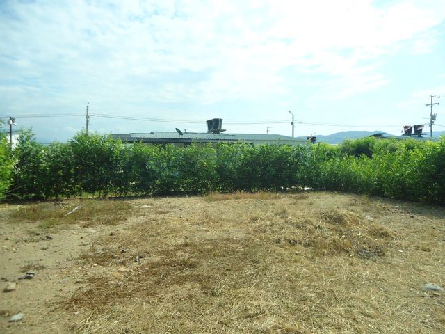 place photo 22
