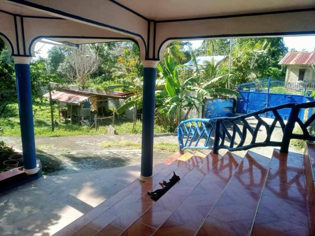 place photo 25