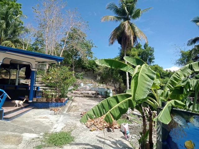 place photo 28