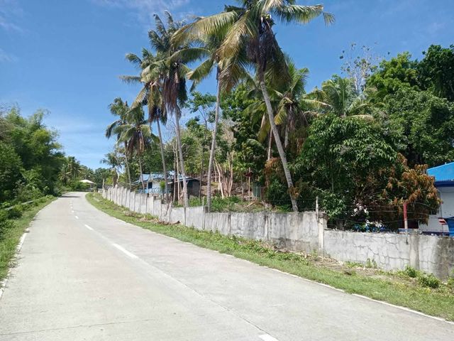 place photo 31