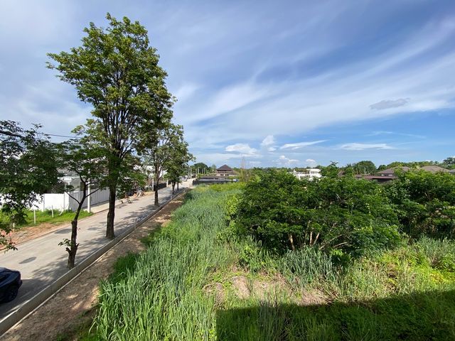 place photo 44
