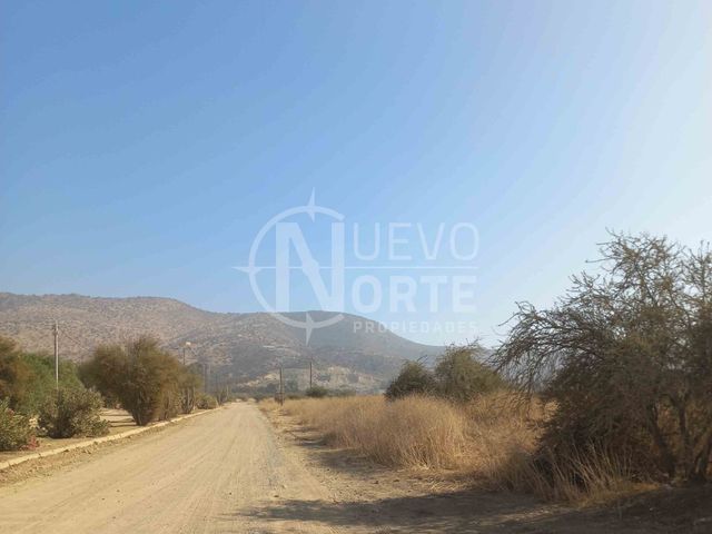 place photo 26