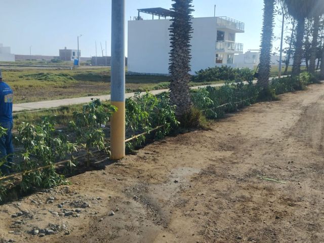 place photo 5