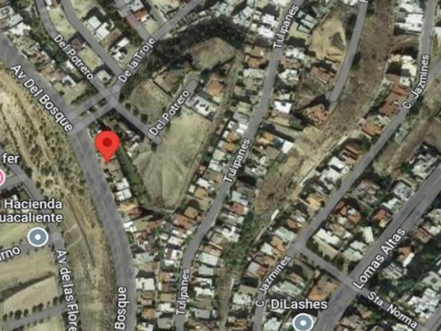 place photo 9
