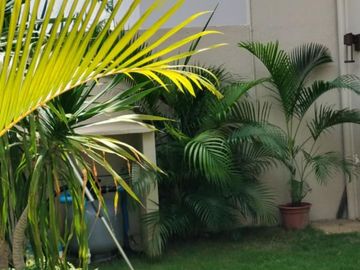place photo 36