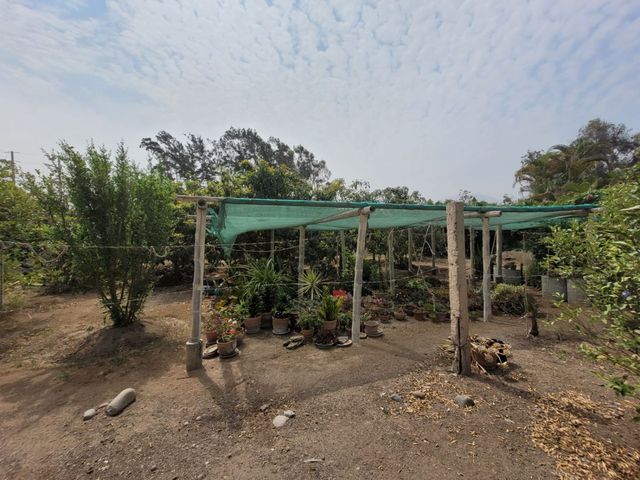 place photo 65