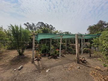 place photo 65