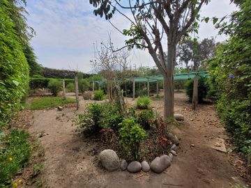 place photo 64