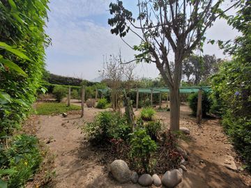 place photo 66