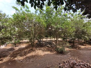 place photo 77