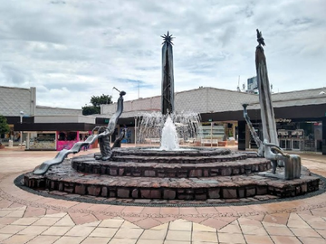 place photo 26