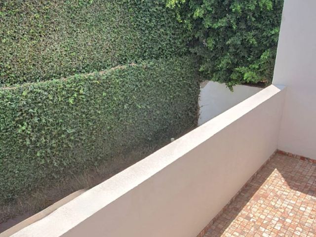 place photo 40