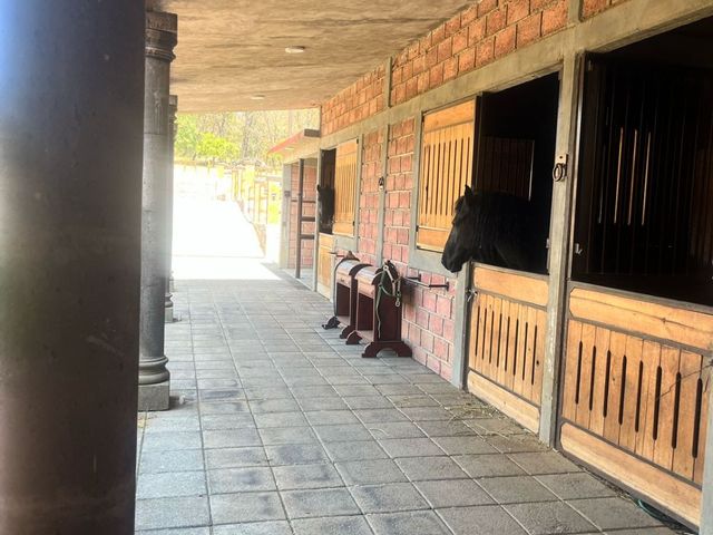 place photo 51