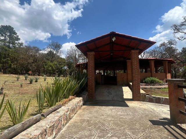 place photo 54