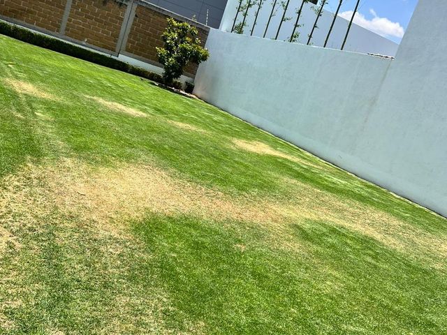 VENTA TERRENO VILLANTIGUA 335.08 M2 A $10,000,000