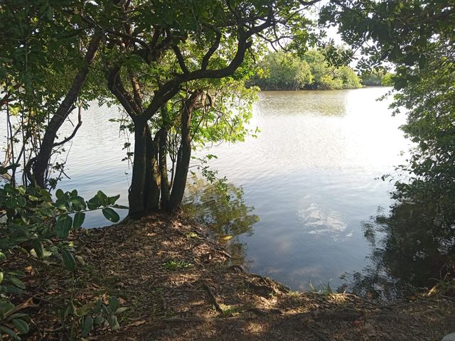 place photo 29