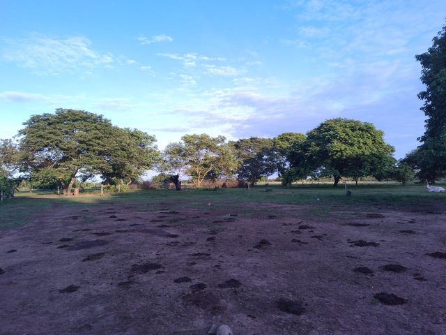 place photo 22
